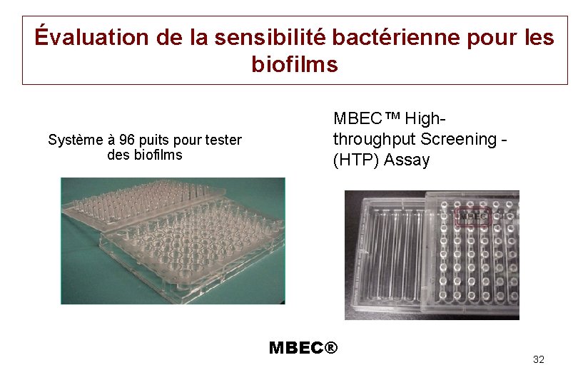 Évaluation de la sensibilité bactérienne pour les biofilms Système à 96 puits pour tester