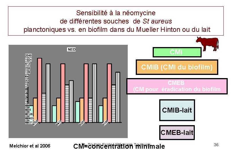 Sensibilité à la néomycine de différentes souches de St aureus planctoniques vs. en biofilm Sensibilité à la néomycine de différentes souches de St aureus planctoniques vs. en biofilm