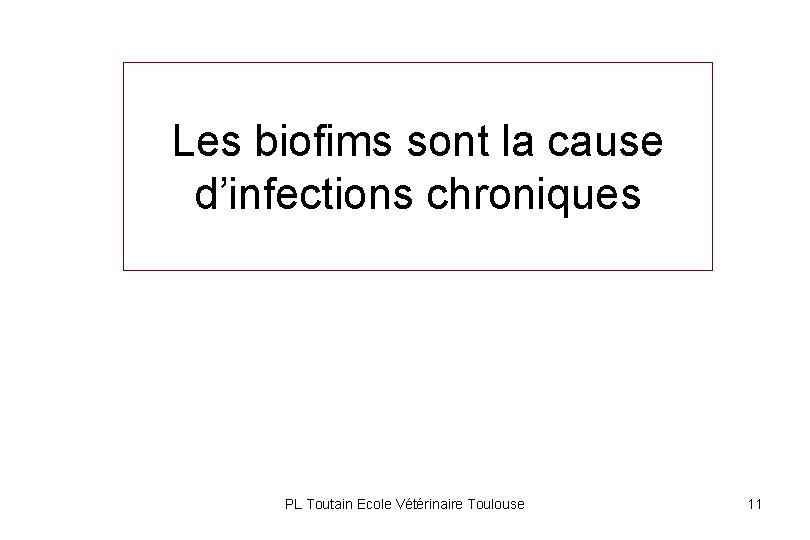 Les biofims sont la cause d’infections chroniques PL Toutain Ecole Vétérinaire Toulouse 11 