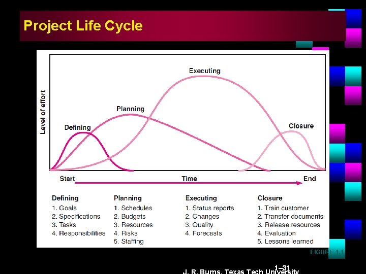 Project Life Cycle FIGURE 1. 1 1– 31 