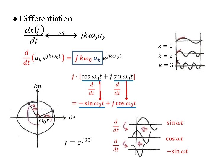 l Differentiation 