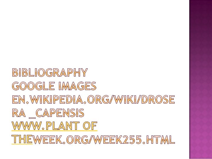 WWW. PLANT OF THE 