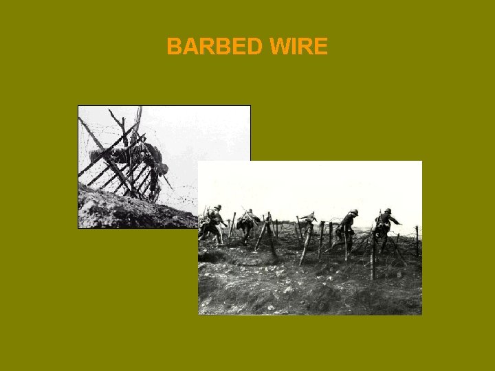 BARBED WIRE 