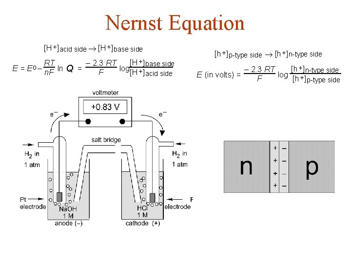 Nernst Equation [H + ] acid side ® [H + ] base side RT