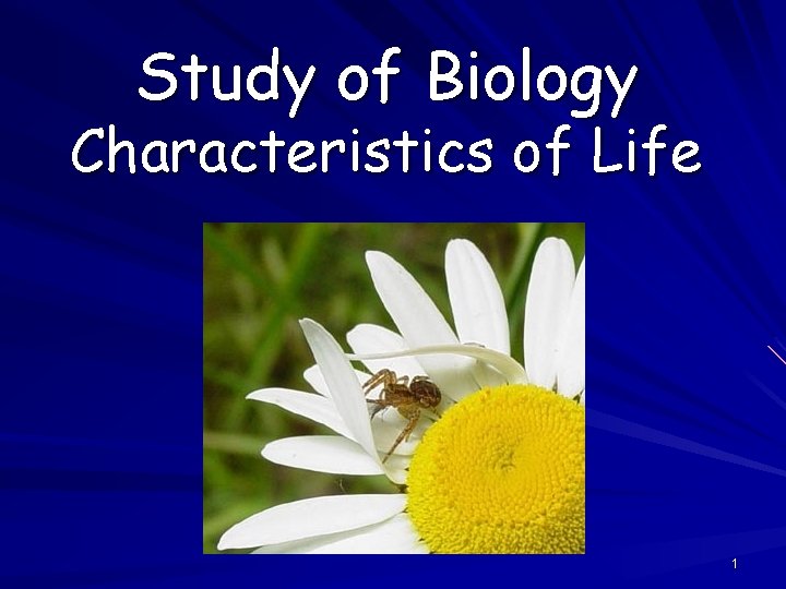 Study of Biology Characteristics of Life 1 