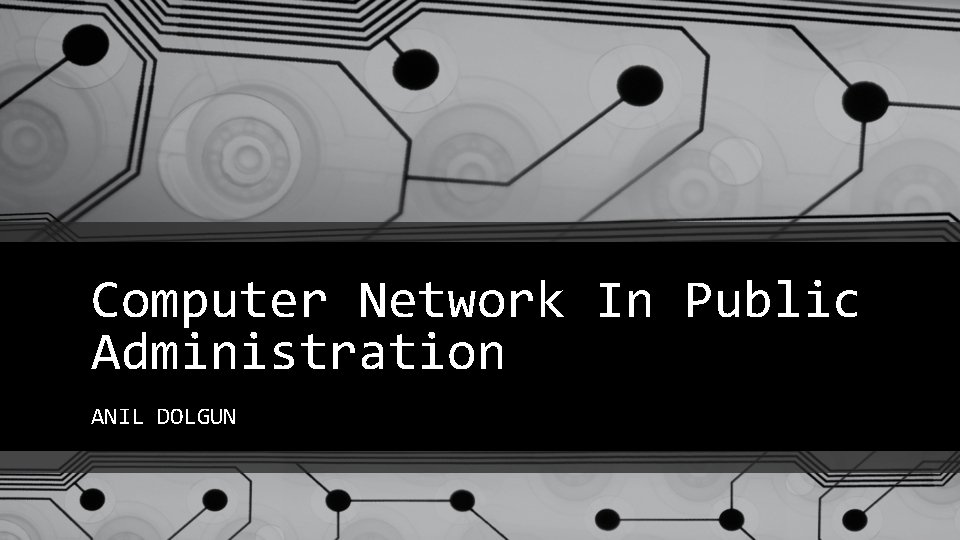 Computer Network In Public Administration ANIL DOLGUN 
