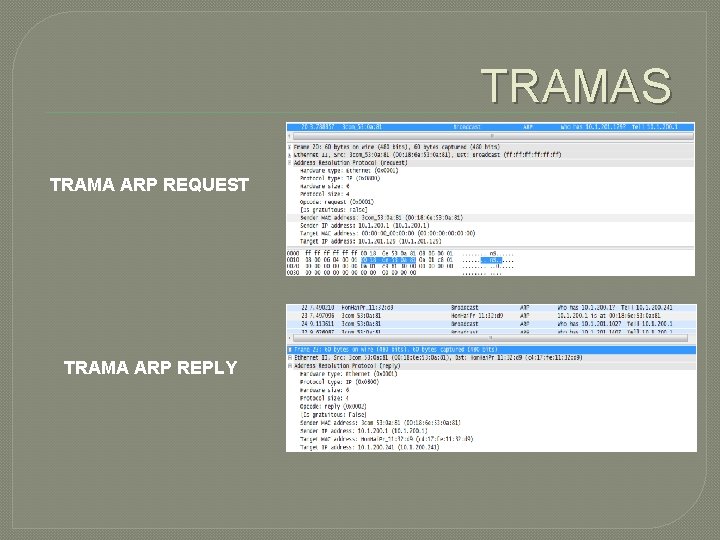 TRAMAS TRAMA ARP REQUEST TRAMA ARP REPLY 