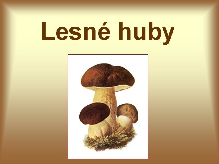 Lesné huby 