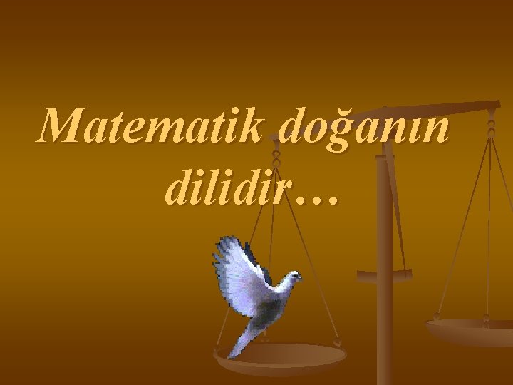 Matematik doğanın dilidir… 