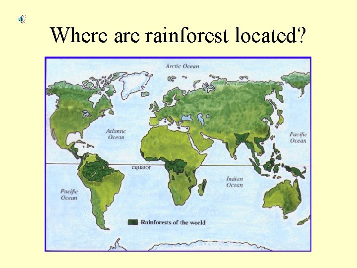 Where are rainforest located? 