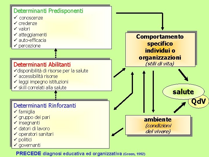 Determinanti Predisponenti ü conoscenze ü ü ü credenze valori atteggiamenti auto-efficacia percezione Determinanti Abilitanti