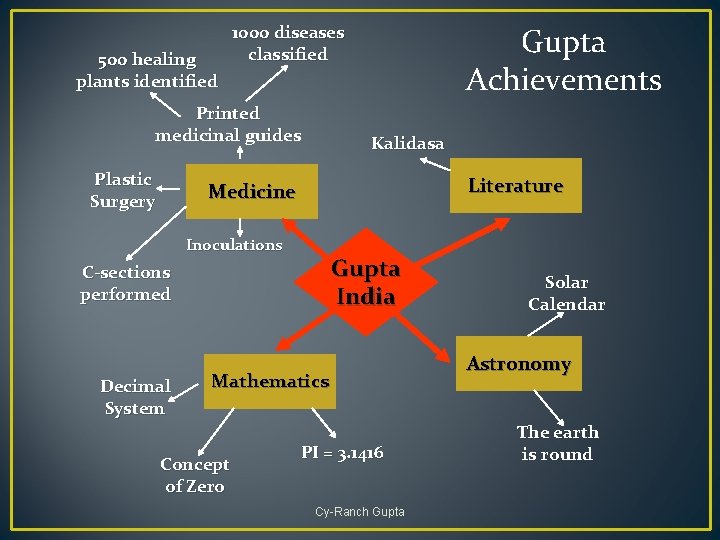 500 healing plants identified Printed medicinal guides Plastic Surgery Gupta Achievements 1000 diseases classified