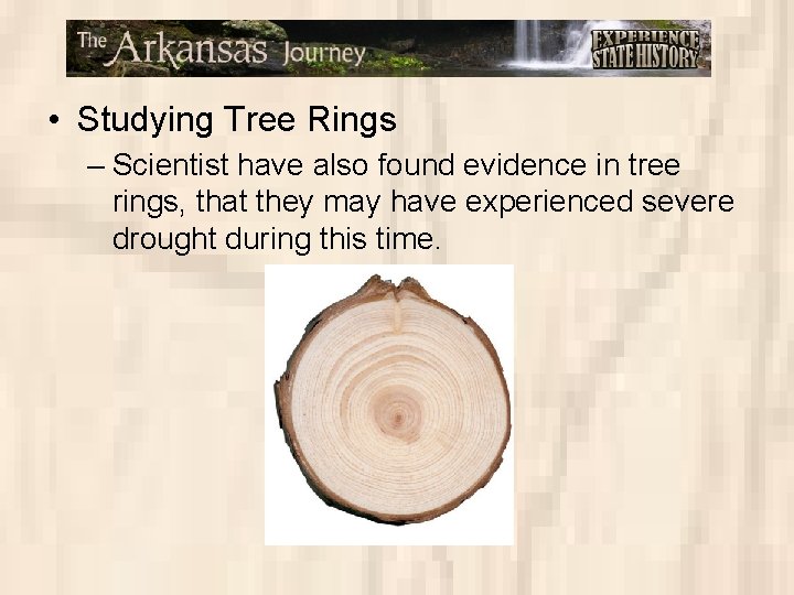  • Studying Tree Rings – Scientist have also found evidence in tree rings,