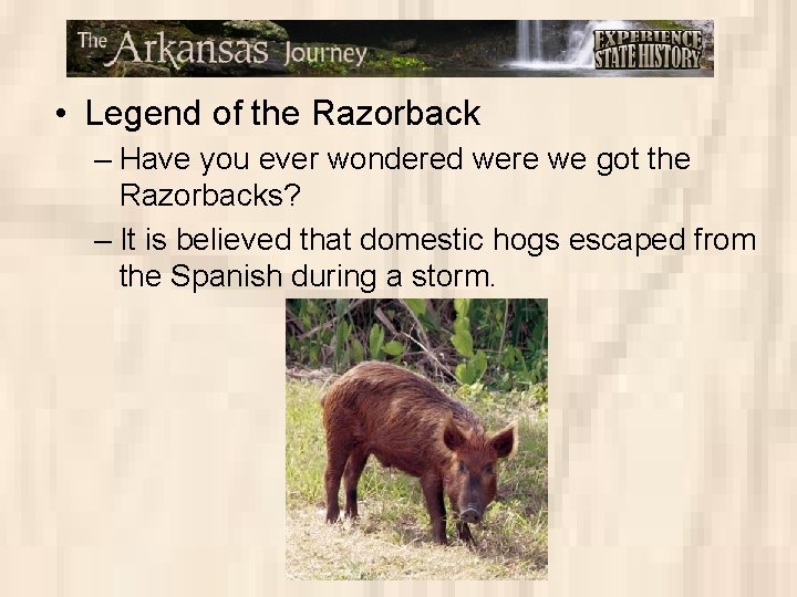  • Legend of the Razorback – Have you ever wondered were we got