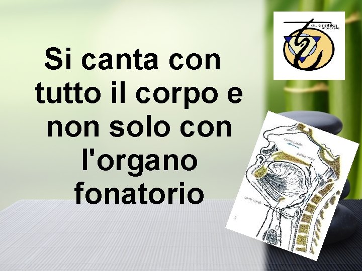 Si canta con tutto il corpo e non solo con l'organo fonatorio 