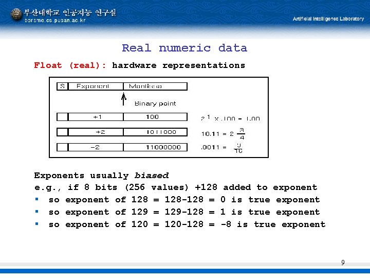 Real numeric data Float (real): hardware representations Exponents usually biased e. g. , if