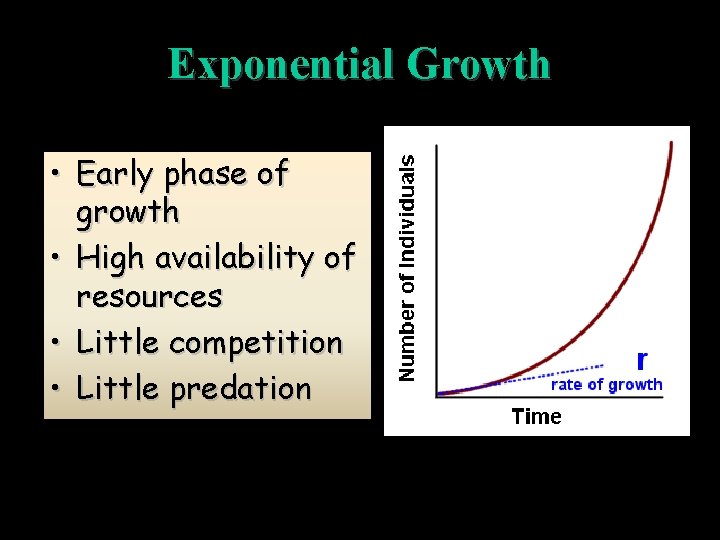 Exponential Growth • Early phase of growth • High availability of resources • Little