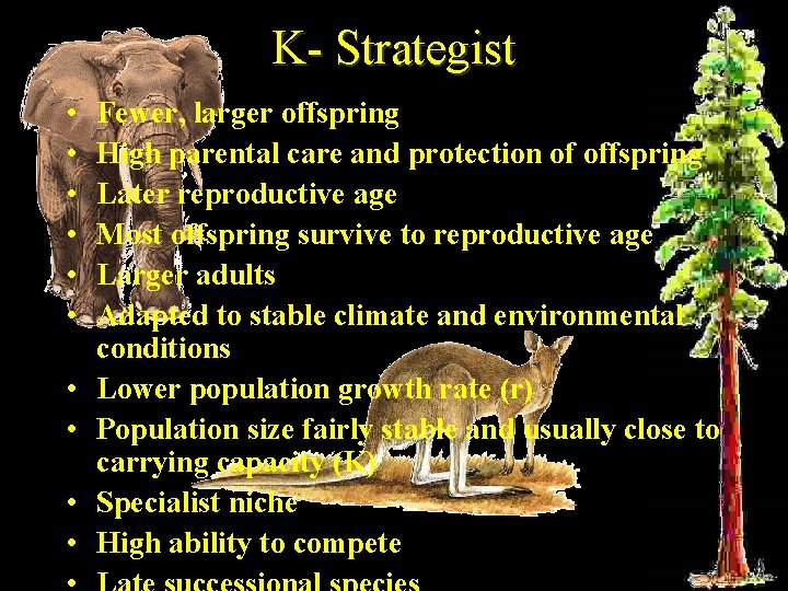 K- Strategist • • • Fewer, larger offspring High parental care and protection of