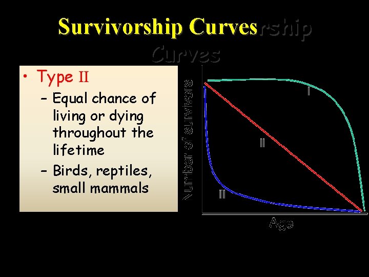 Survivorship Curves • Type II – Equal chance of living or dying throughout the