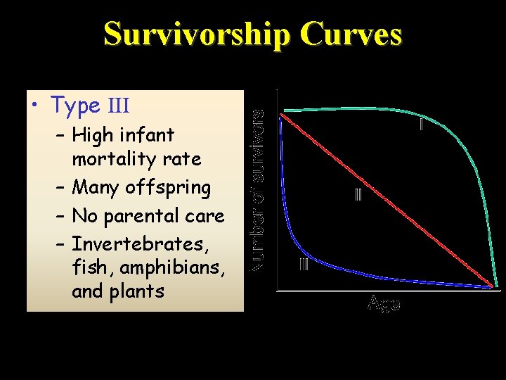 Survivorship Curves • Type III – High infant mortality rate – Many offspring –