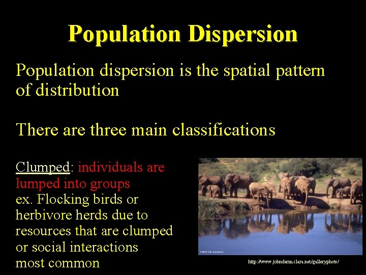 Population Dispersion Population dispersion is the spatial pattern of distribution There are three main