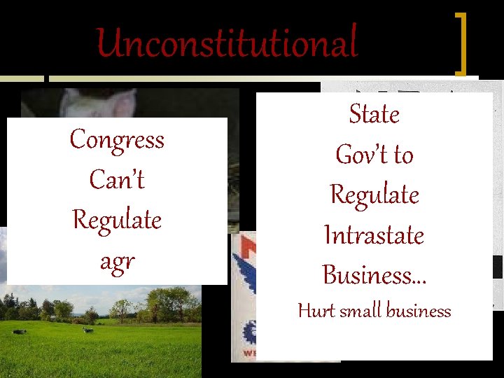 Unconstitutional Congress Can’t Regulate agr State Gov’t to Regulate Intrastate Business… Hurt small business