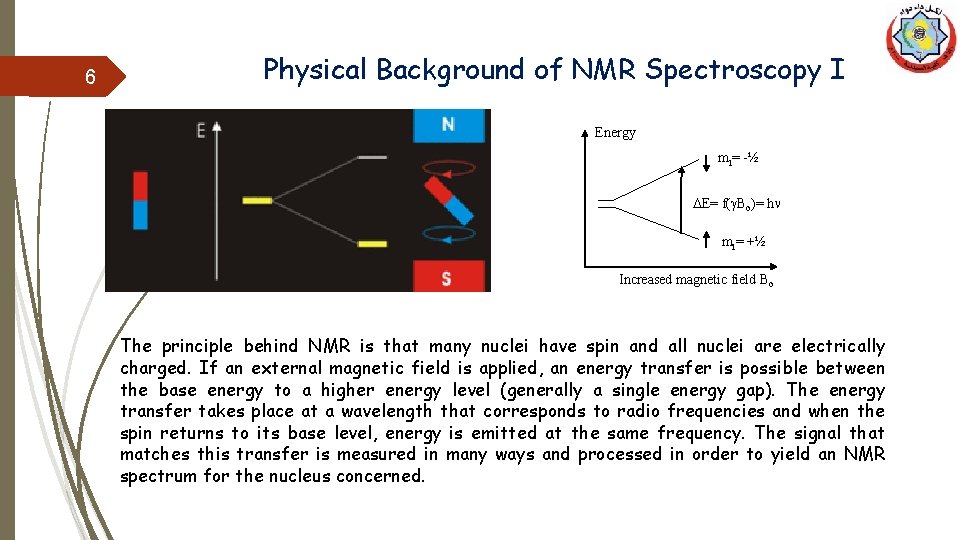 6 Physical Background of NMR Spectroscopy I Energy m. I= -½ DE= f(g. Bo)=