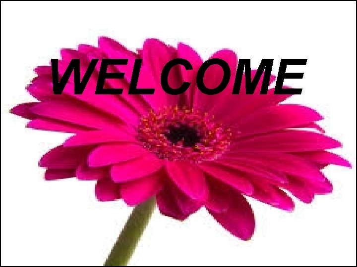 WELCOME 