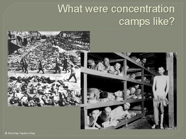 What were concentration camps like? © One Stop Teacher Shop What were concentration camps like? © One Stop Teacher Shop