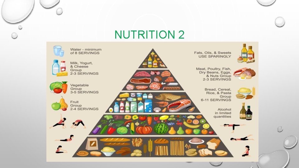 NUTRITION 2 