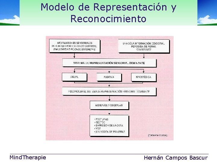 Modelo de Representación y Reconocimiento Mind. Therapie Hernán Campos Bascur 