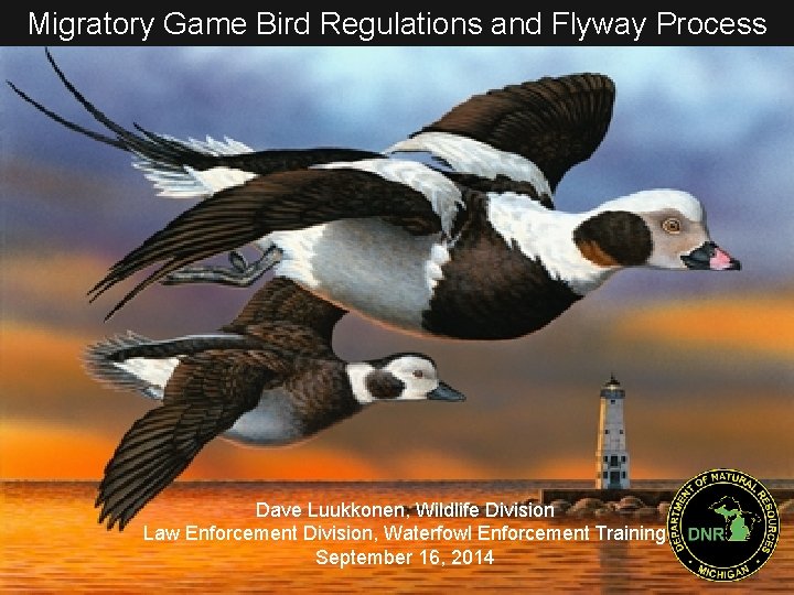 Migratory Game Bird Regulations and Flyway Process Dave Luukkonen, Wildlife Division Law Enforcement Division,