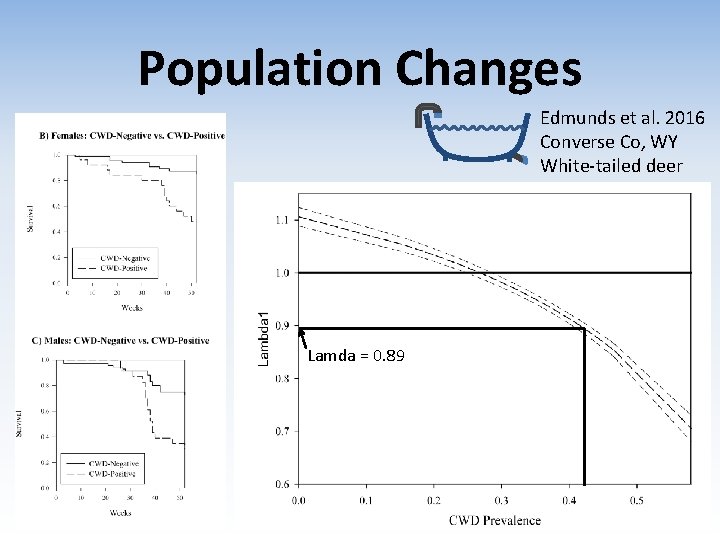 Population Changes Edmunds et al. 2016 Converse Co, WY White-tailed deer Lamda = 0.