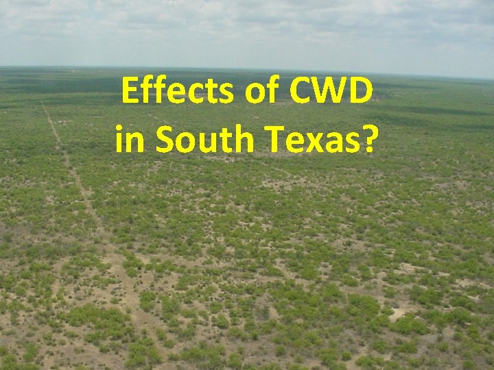 Effects of CWD in South Texas? 