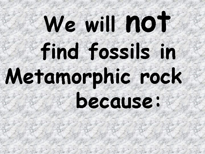 We will not find fossils in Metamorphic rock because: 