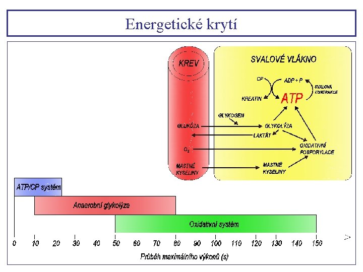 Energetické krytí 