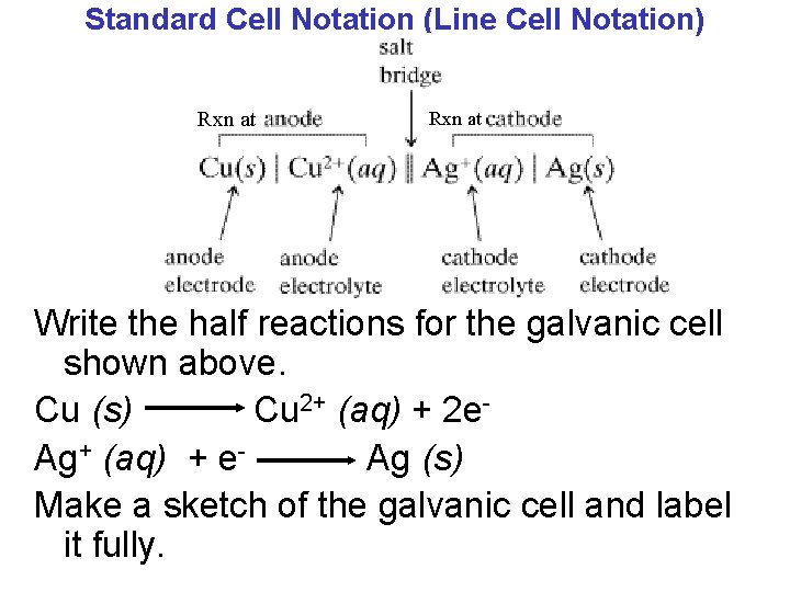 Standard Cell Notation (Line Cell Notation) Rxn at Write the half reactions for the
