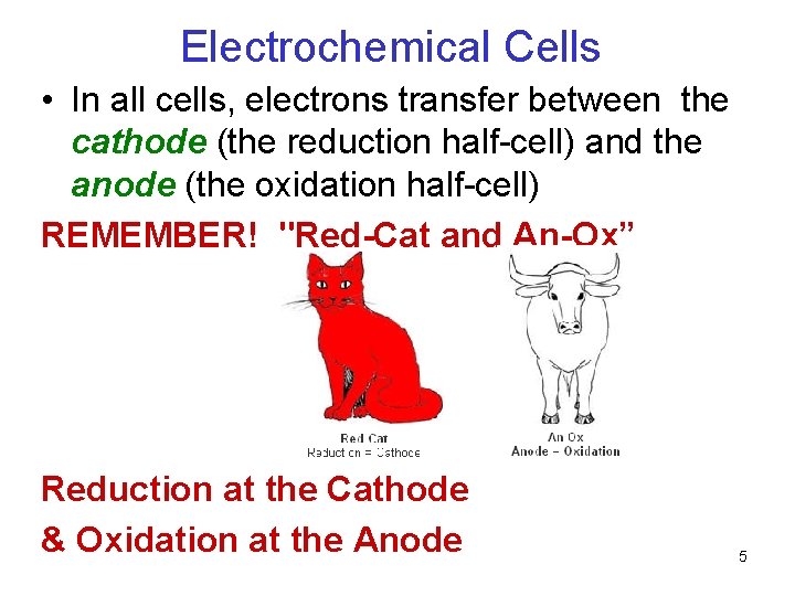 Electrochemical Cells • In all cells, electrons transfer between the cathode (the reduction half-cell)