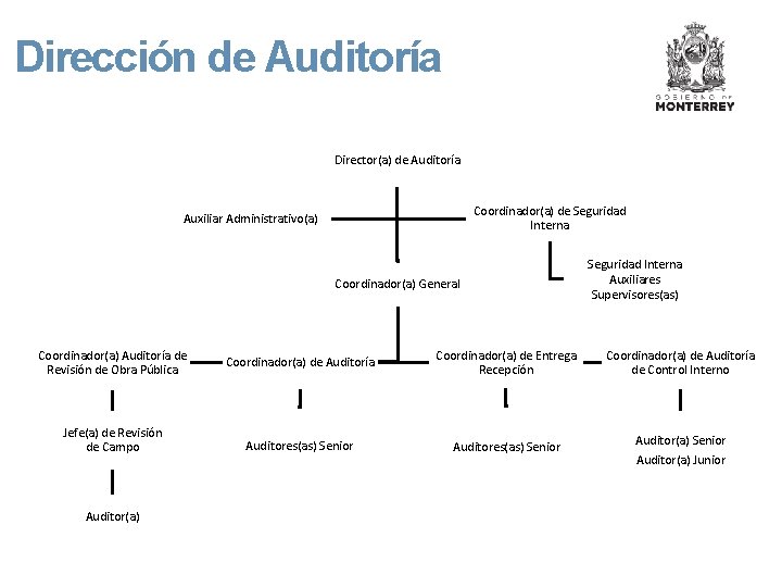 Dirección de Auditoría Director(a) de Auditoría Coordinador(a) de Seguridad Interna Auxiliar Administrativo(a) Coordinador(a) General