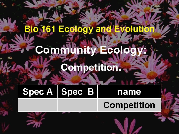 Bio 161 Ecology and Evolution Community Ecology: Competition. Spec A Spec B name Competition