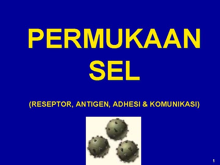 PERMUKAAN SEL (RESEPTOR, ANTIGEN, ADHESI & KOMUNIKASI) 1 