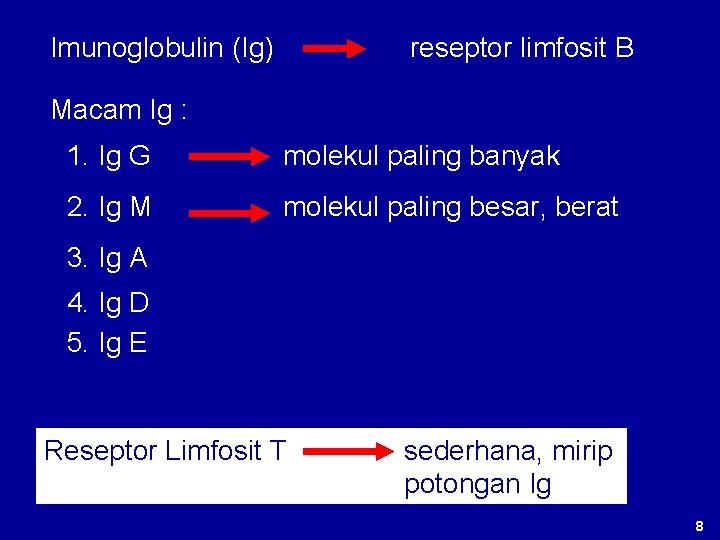Imunoglobulin (Ig) reseptor limfosit B Macam Ig : 1. Ig G molekul paling banyak