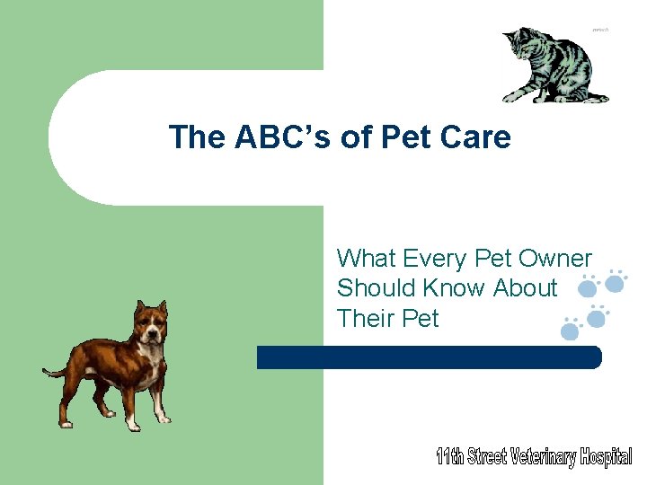 The ABC’s of Pet Care What Every Pet Owner Should Know About Their Pet