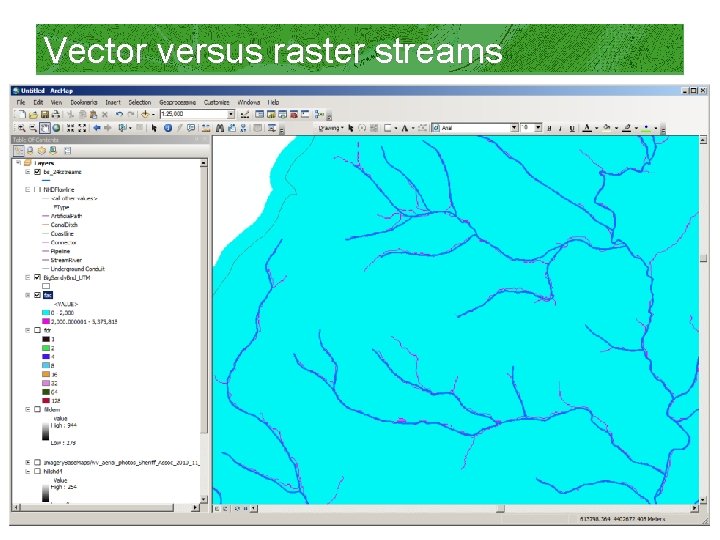 Vector versus raster streams 