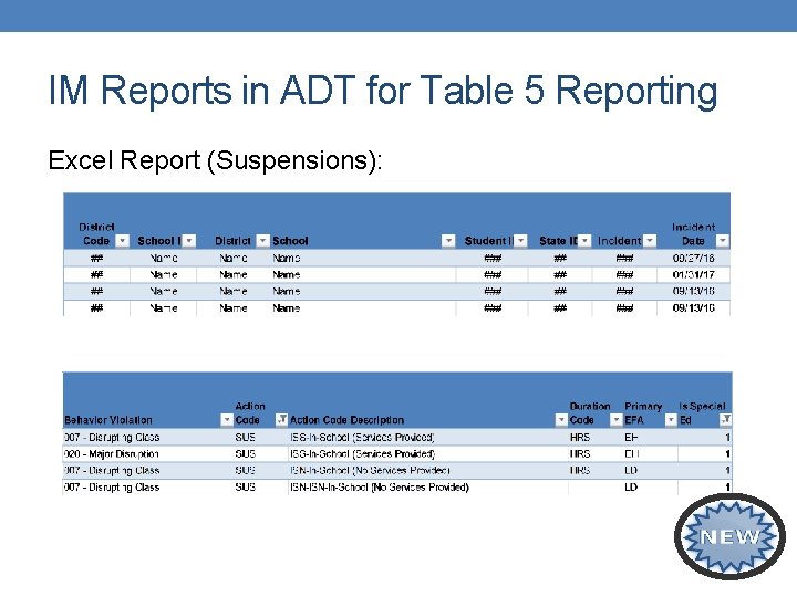 IM Reports in ADT for Table 5 Reporting Excel Report (Suspensions): 