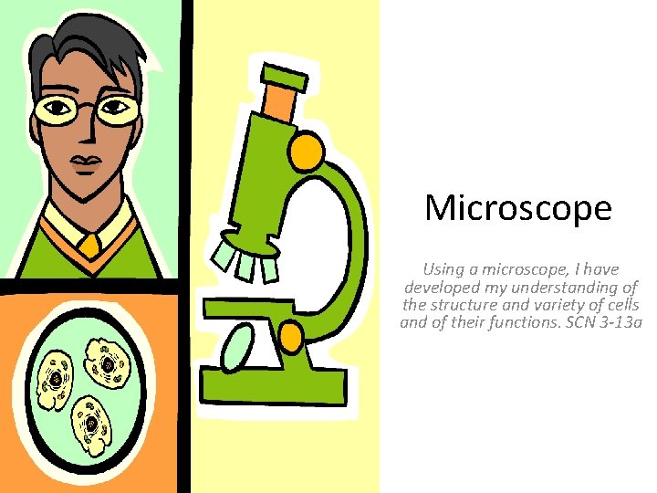 Microscope Using a microscope, I have developed my understanding of the structure and variety