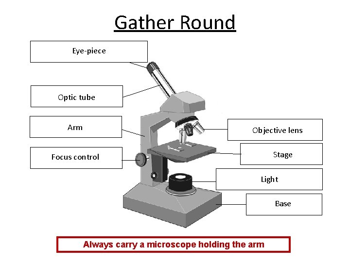 Gather Round Eye-piece Optic tube Arm Objective lens Stage Focus control Light Base Always