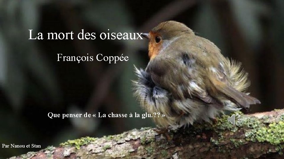 La mort des oiseaux François Coppée Que penser de « La chasse à la