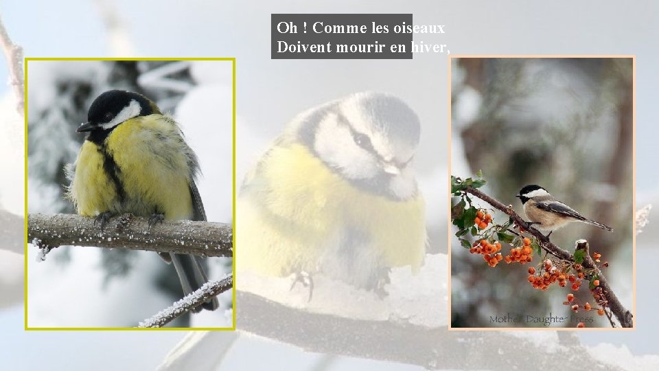 Oh ! Comme les oiseaux Doivent mourir en hiver, 