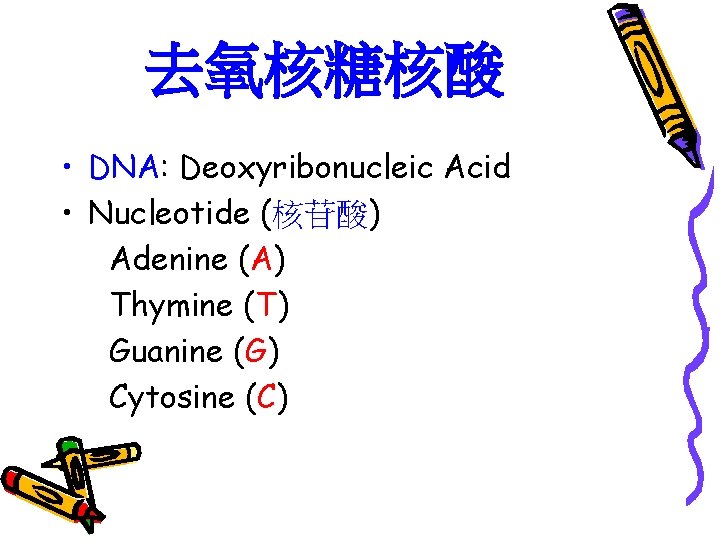 去氧核糖核酸 • DNA: Deoxyribonucleic Acid • Nucleotide (核苷酸) Adenine (A) Thymine (T) Guanine (G)